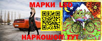 скорость Будённовск